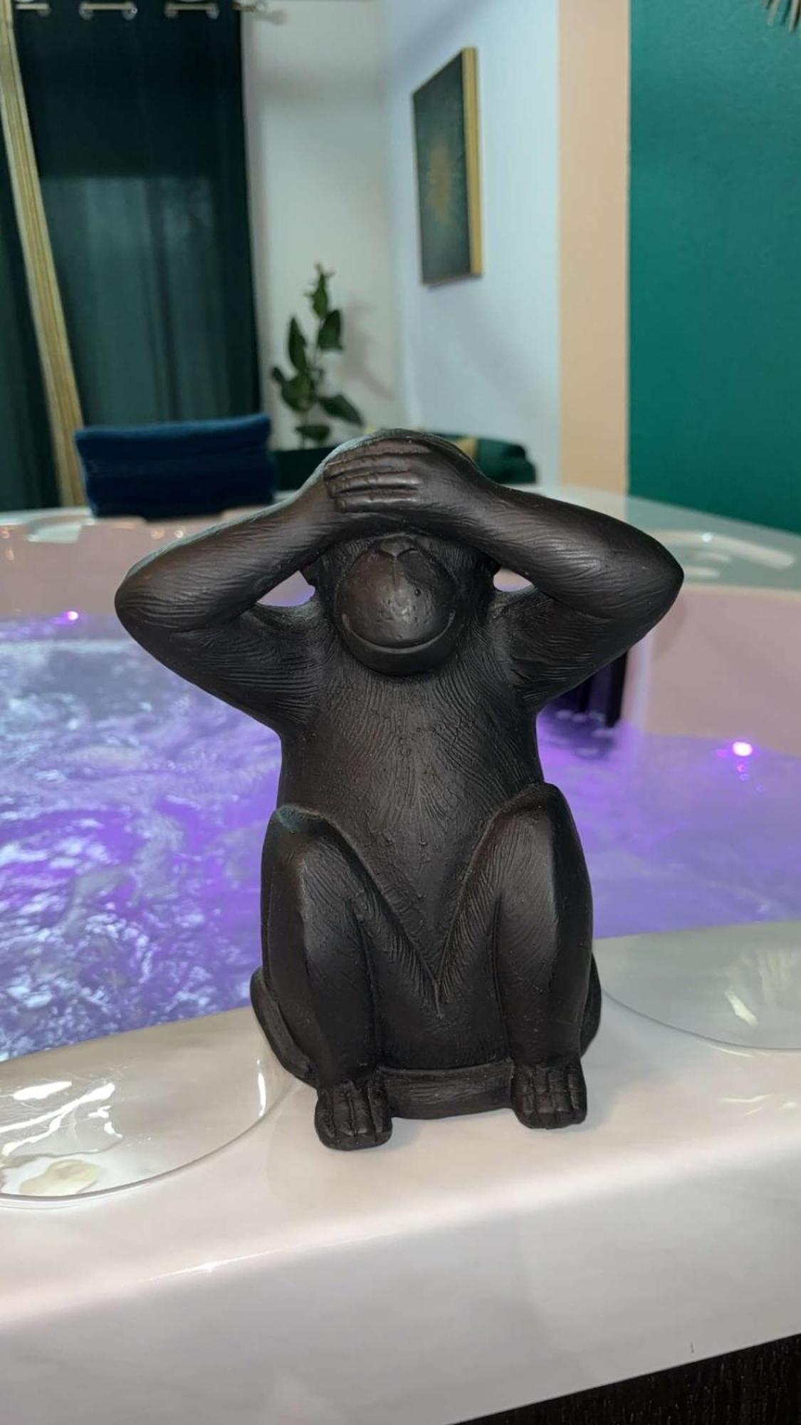 Appartement Jacuzzi 