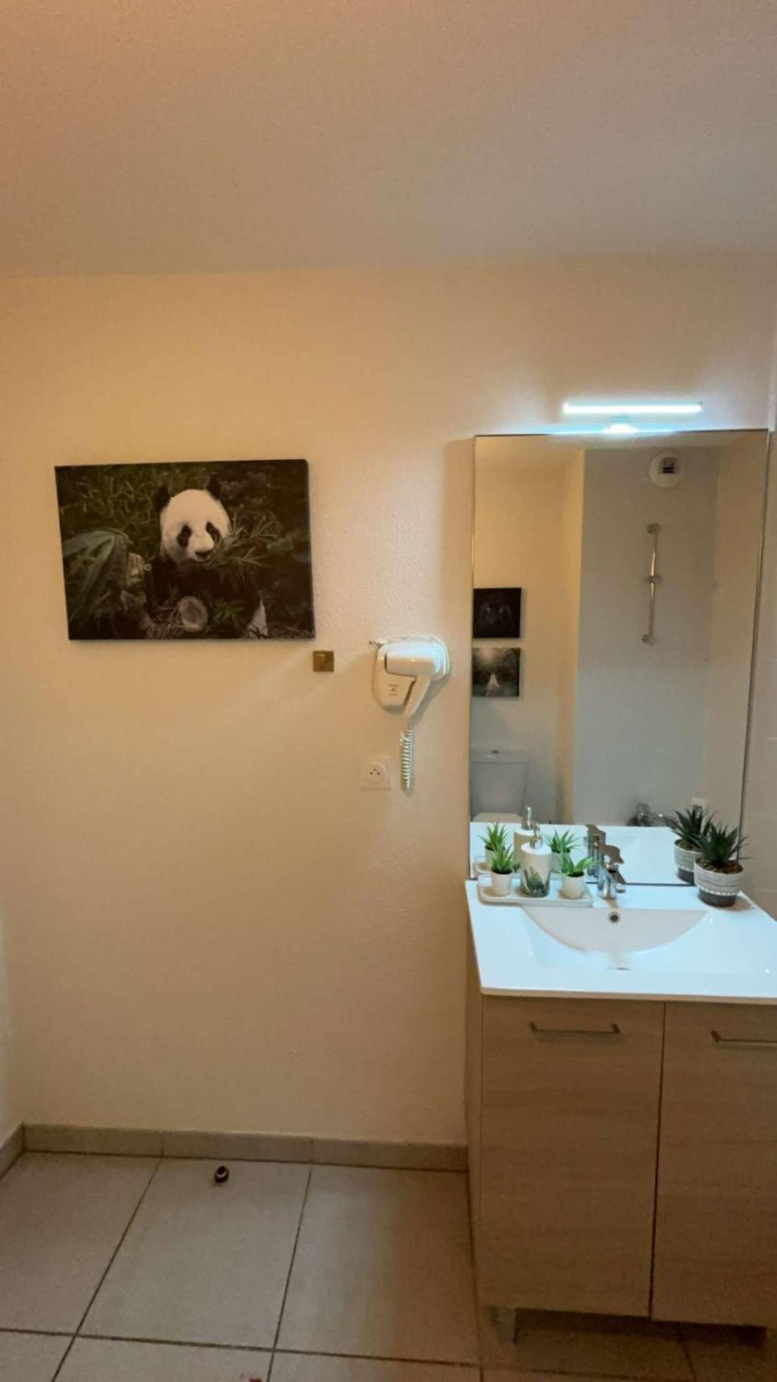 Appartement Jacuzzi 